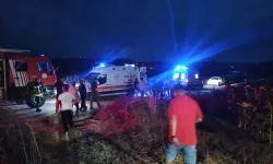 Kocaeli'de kestiği ağacın altında kalan kişi öldü