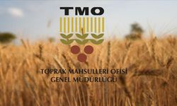 TMO, ürün bedeli olarak yaklaşık 5,2 milyar lirayı üreticilerin hesaplarına yatırdı