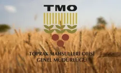 TMO, Çekirdeksiz Kuru Üzüm Alım Fiyatını Açıkladı