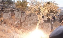 Filistin topraklarını gasbeden İsraillilerin Batı Şeria'da bir fidanlığı ateşe vermesi sonucu 3 kişi yaralandı
