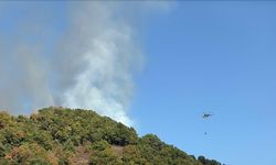 Düzce'de çıkan orman yangınına müdahale ediliyor