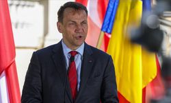 Polonya Dışişleri Bakanı Sikorski: Amaç bizi test etmekti ve başarıyla geçtik
