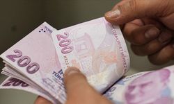 TMO, ürün bedeli olarak yaklaşık 3,6 milyar lirayı üreticilerin hesaplarına yatırdı
