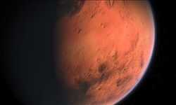NASA: Mars'ta bulunan leopar benekli kaya, gezegendeki en net yaşam belirtisi olabilir