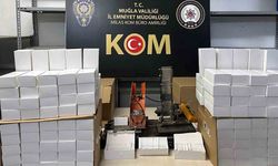 Muğla’nın 6 ilçesinde kaçak tütün mamulleri operasyonu