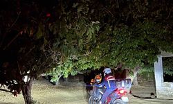 Germencik’te jandarma incir hırsızlıklarını önlemek için sahada