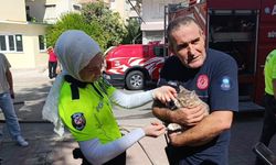 Yangında telef olduğu sanılan kedi dolabın arkasında saklanırken bulundu
