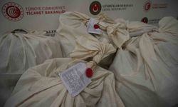 Kapıkule’de 113 kilo esrar ele geçirildi