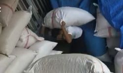 Gaziantep’te 450 bin TL’lik Antep fıstığı hırsızlığı kamerada