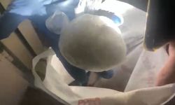 Samsun’da 183,8 gram uyuşturucu ele geçirildi