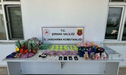Jandarmadan kaçakçılık operasyonu: 98 şüpheli hakkında yasal işlem yapıldı