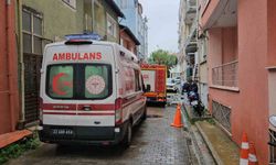 Edirne’de baca yangını korkuttu