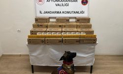 Jandarma 10 bin adet kaçak av tüfeği mermisi ele geçirdi