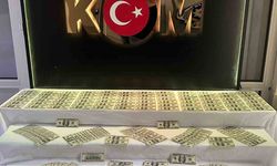 Denizli’de 35 bin 100 dolar değerinde sahte banknot ele geçirildi