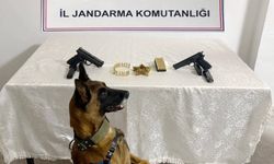 Şanlıurfa’da silah kaçakçılığı operasyonu: 8 gözaltı
