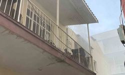 Antalya’da yangın çıkan evdeki muhabbet kuşunu itfaiye kurtardı