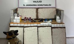 Jandarmadan yasaklı madde ve kaçak makaron operasyonu