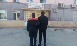 Farklı suçlardan 20 yıl hapis cezasıyla aranan şahsı jandarma yakaladı