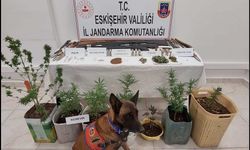 Yasaklı madde ve silah bulunduran 7 şüpheli jandarma tarafından yakalandı