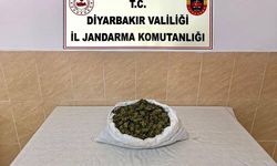 Diyarbakır’da yasaklı madde operasyonu
