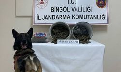 Bingöl’de 2 kilo yasaklı madde ele geçirildi: 1 tutuklama
