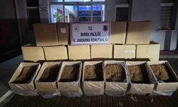Bursa’da 750 kilogram kaçak tütün ele geçirildi
