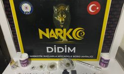 Didim’de yasaklı madde operasyonu: 1 tutuklu
