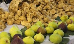 Tarım Mirasımızın Tescilli Lezzeti: Aydın İnciri