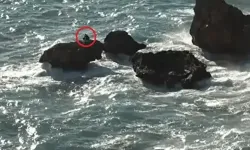 Balık tuttuğu kayalıklarda dalgalar yükselince mahsur kaldı