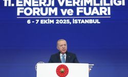 Cumhurbaşkanı Erdoğan: Yeşil enerjiye yatırım yapan ülkelerin başında geliyoruz