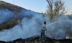 Çorum'da çıkan yangında 620 dönüm alan zarar gördü