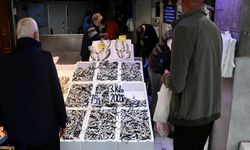 Trabzon'da hamsinin kilogramı 75 liradan satılıyor
