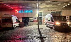 Kars'ta ördek avlayan baba kazaen vurduğu oğlunu öldürdü