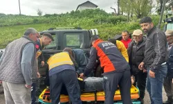 Muş'ta hayvan otlatırken yıldırım isabet eden kişi hayatını kaybetti