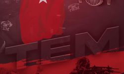 FETÖ'den toplamda 12 yıl 6 ay kesinleşmiş hapis cezası bulunan 2 zanlı yakalandı