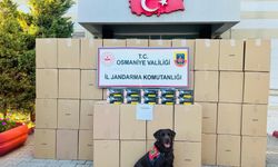 Osmaniye'de kaçak makaron operasyonunda 1 tutuklama