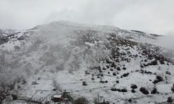 Erzincan'ın yüksek kesimlerine kar yağdı