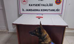 Kayseri'de uyuşturucu operasyonu