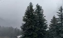 Ilgaz Dağı'nda kar yağışı etkili oluyor