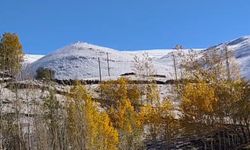 Hamur'daki Karlıca köyünde dağlar karla kaplandı, kartpostallık manzaralar oluştu