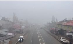 Ağrı'da sis etkili oldu