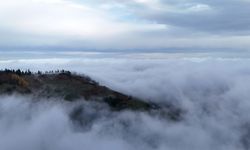 Samsun'da 1650 rakımlı Dürtmen Dağı'ndaki "sis denizi" dronla görüntülendi