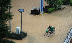 Vietnam’daki Matmo Tayfununda can kaybı 15’e yükseldi