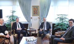 Dışişleri Bakan Yardımcısı Levent Gümrükçü, İsveçli Yetkili Torbjörn Sohlström ile Görüştü