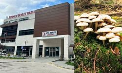 Aynı aileden 7 kişi yedikleri mantardan zehirlendi