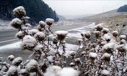 Kars'ın yüksek kesimlerinde kar yağışı etkili oluyor