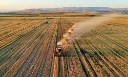 Çiftçilere 306 milyon 541 bin 763 lira tarımsal destek ödemesi bugün yapılacak