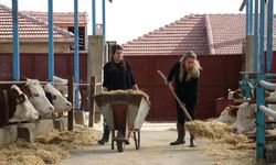 Hayvancılıkta verimlilik gelecek yıl desteklerle artırılacak