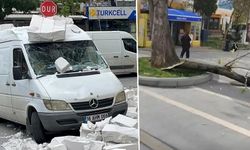 Bursa'yı lodos vurdu: Ağaçlar devrildi, teleferik seferleri durdu
