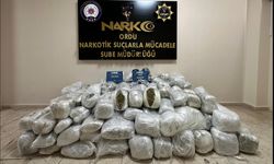 Ordu'da 21 kilogram esrar ele geçirilen operasyonda yakalanan 2 zanlı tutuklandı